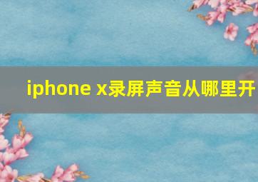 iphone x录屏声音从哪里开